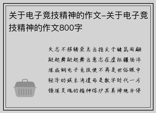 关于电子竞技精神的作文-关于电子竞技精神的作文800字